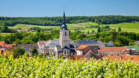 Weinführers in each French winemaking region took the best wines and sent them back to Germany (Credit: Alamy)