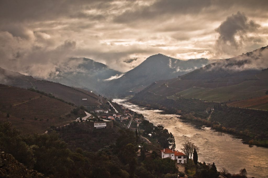 Image 06 – Graham’s Quinta dos Malvedos line-up