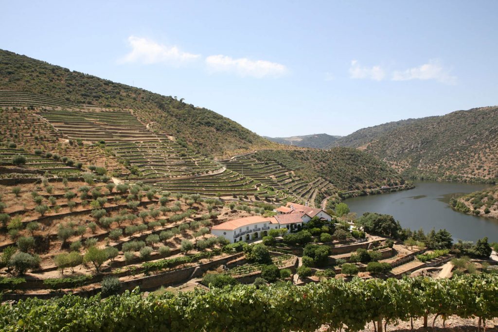 Image 05 – Taylor’s Quinta de Vargellas