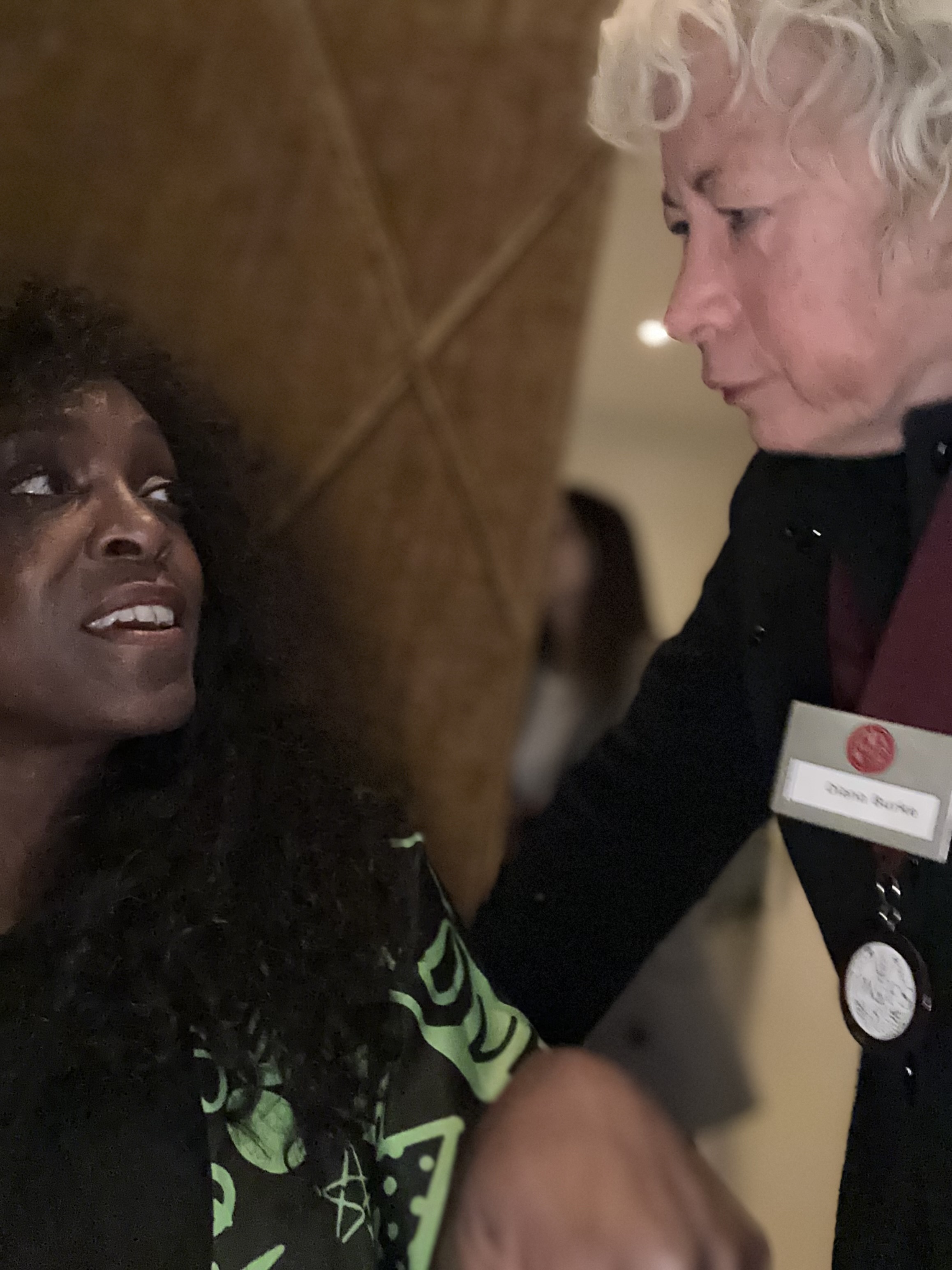 IWFS Toronto: Carisma event photo 18