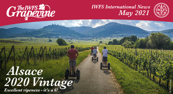 The IWFS Grapevine: IWFS International News May 2021. Alsace 2020 Vintage: Excellent ripeness - its a 6! Click here for details.