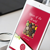 Spices of the World by Jill Norman E-Book