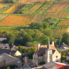 Loire Chavignol (copyright Jim Budd)