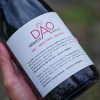 Dao wine